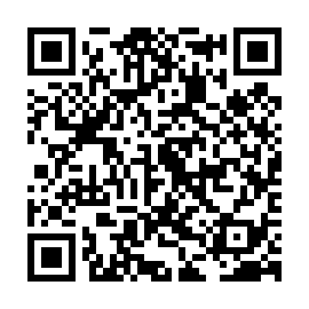 QR code for LDS439