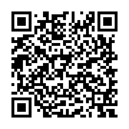 QR code for LDU990