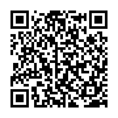 QR code for LDV374