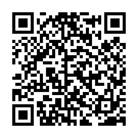 QR code for LDV433