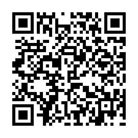 QR code for LDY811