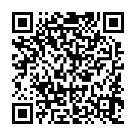 QR code for LEL295
