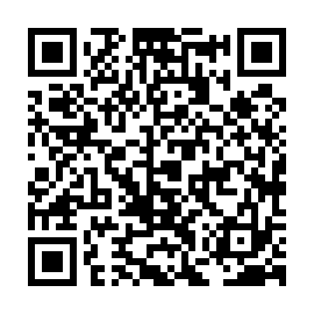 QR code for LGX533