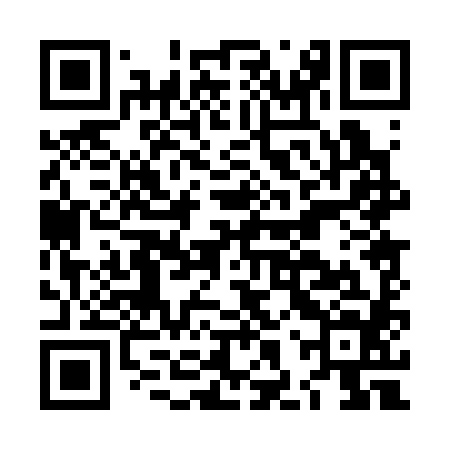 QR code for LHP384