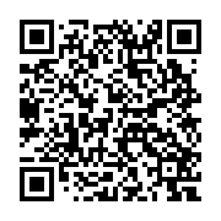 QR code for LHS306