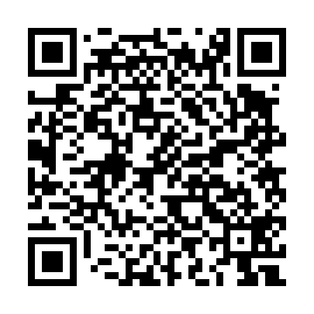 QR code for LIB419