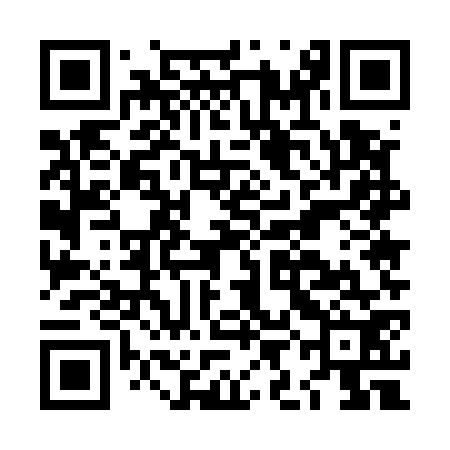 QR code for LIE572