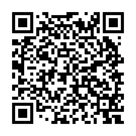 QR code for LIJ294