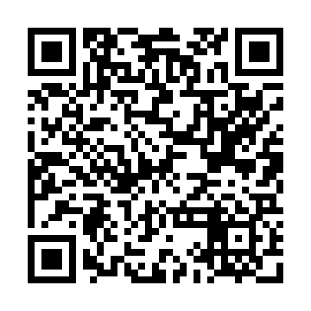 QR code for LIL029