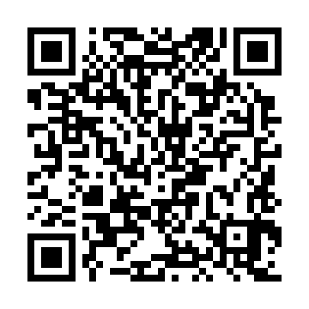QR code for LIL383