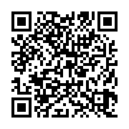 QR code for LIR029