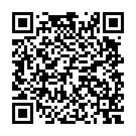QR code for LIR495