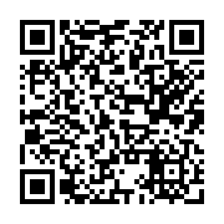 QR code for LIZ309