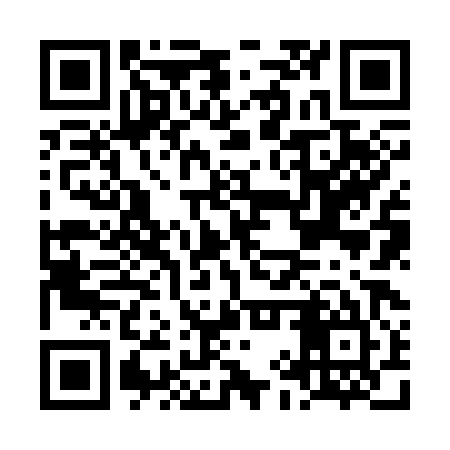 QR code for LIZ385