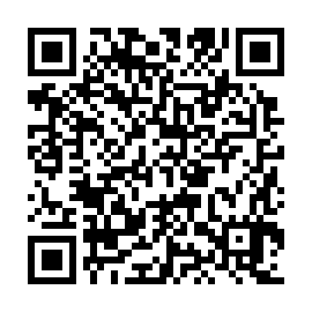 QR code for LIZ387