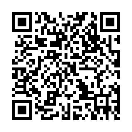 QR code for LKM386