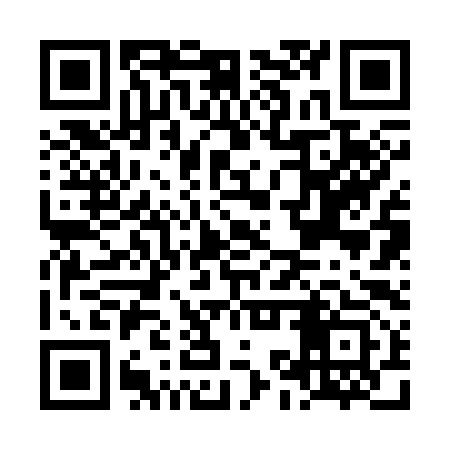 QR code for LKR393