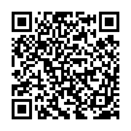QR code for LKR653