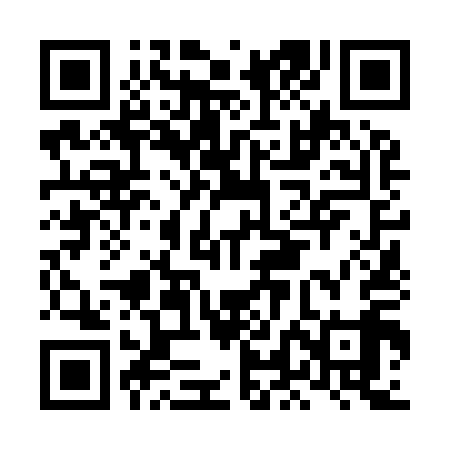 QR code for LLN919