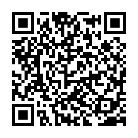 QR code for LLZ119