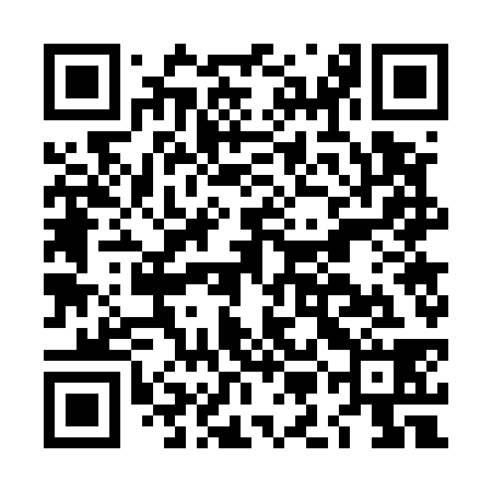 QR code for LMG538