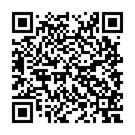 QR code for LMN101