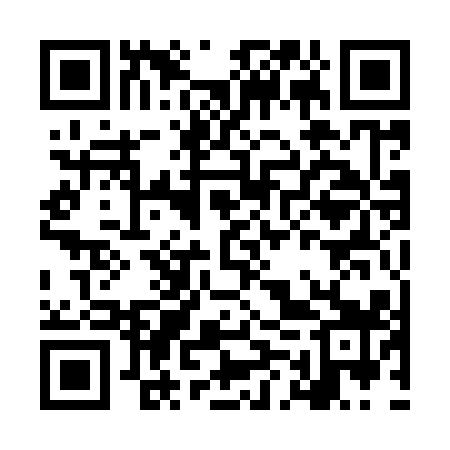 QR code for LMQ919