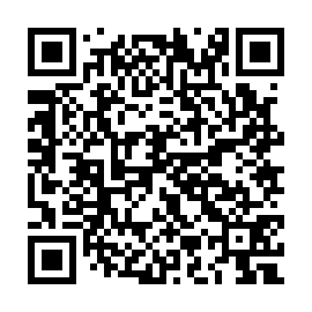 QR code for LMZ171