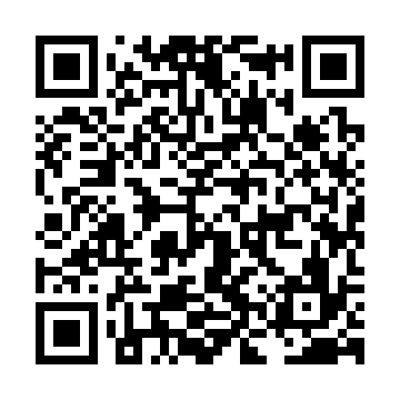 QR code for LNY336