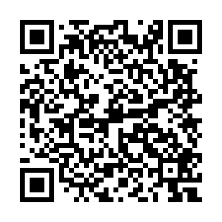 QR code for LOO509