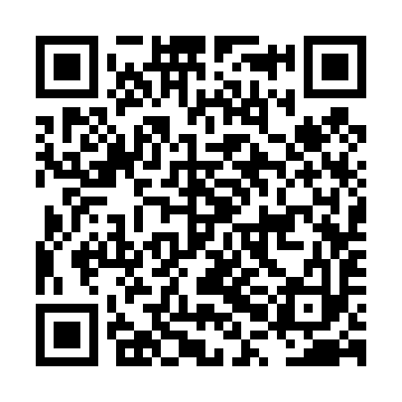QR code for LPC493