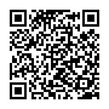 QR code for LPI408