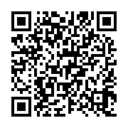 QR code for LPN919