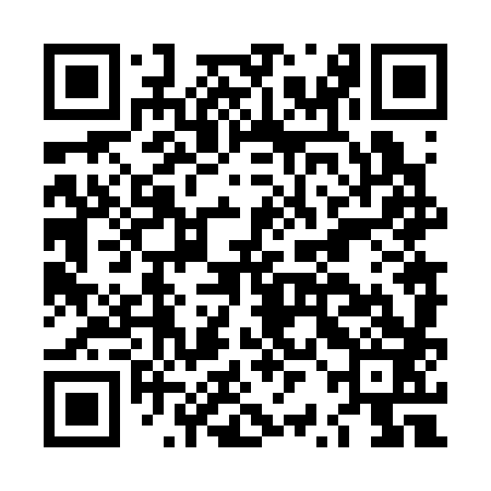 QR code for LRN383