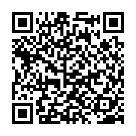 QR code for LSE328
