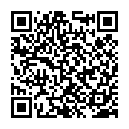 QR code for LSG451