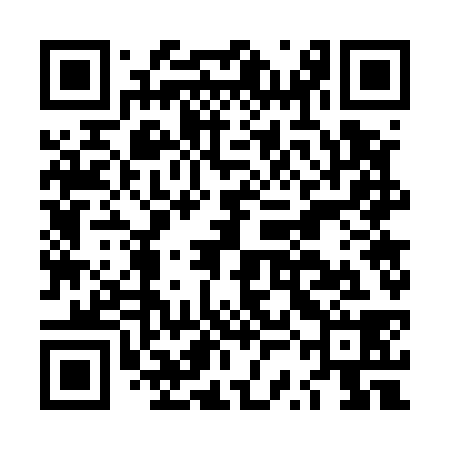 QR code for LSG538