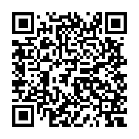 QR code for LSG540