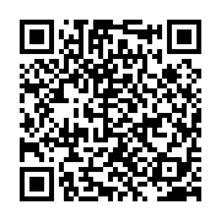QR code for LSI119