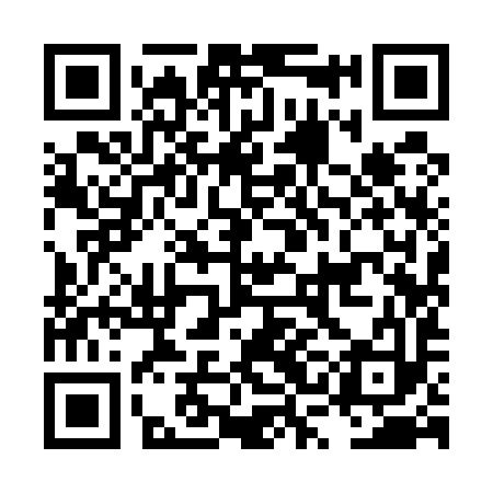 QR code for LSI593