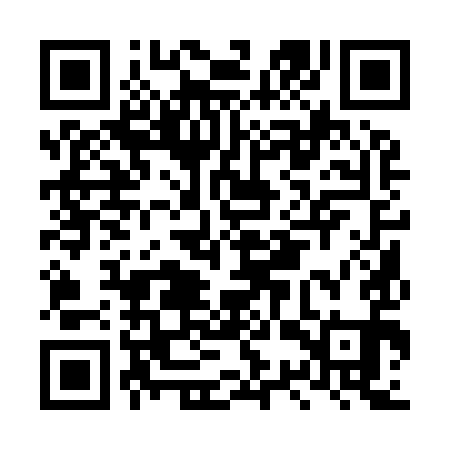 QR code for LSQ991