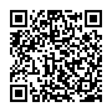 QR code for LSS333