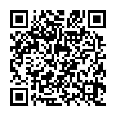 QR code for LSS335