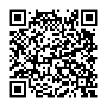 QR code for LUI441