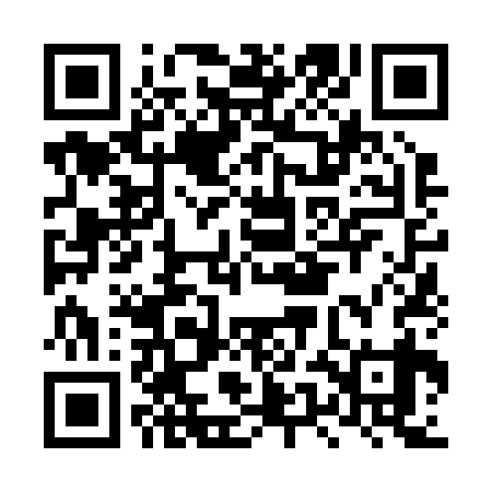 QR code for LUN239