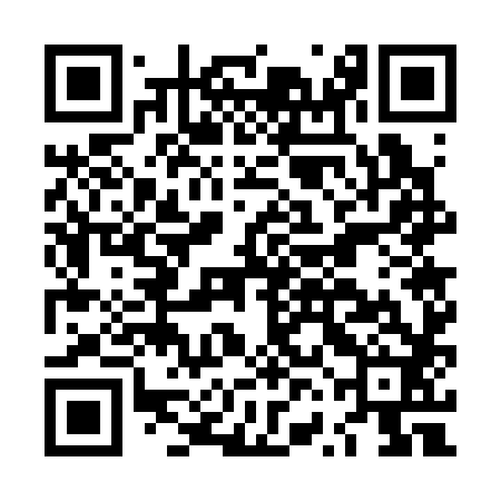QR code for LVG382