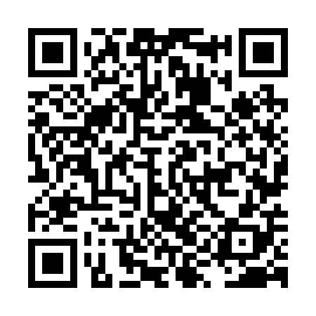 QR code for LYN208