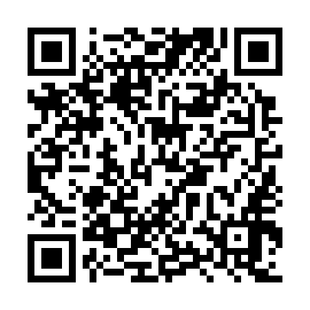 QR code for LYN356