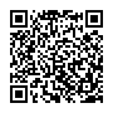 QR code for LZD536