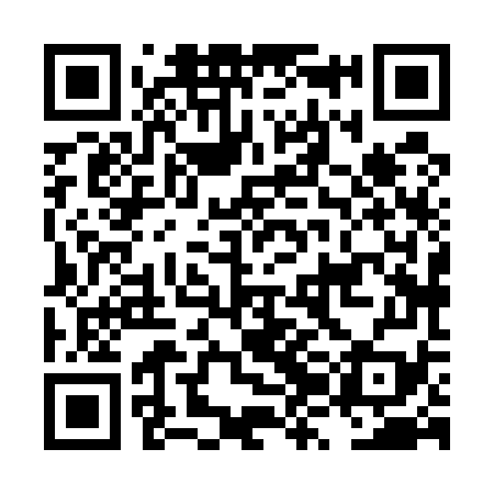 QR code for LZH579